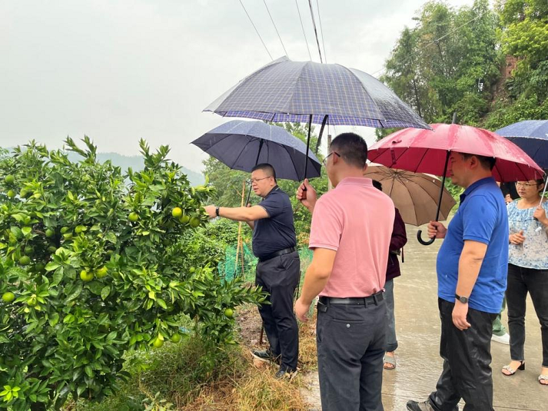 1664435643270443.png 三峽一號(hào).png