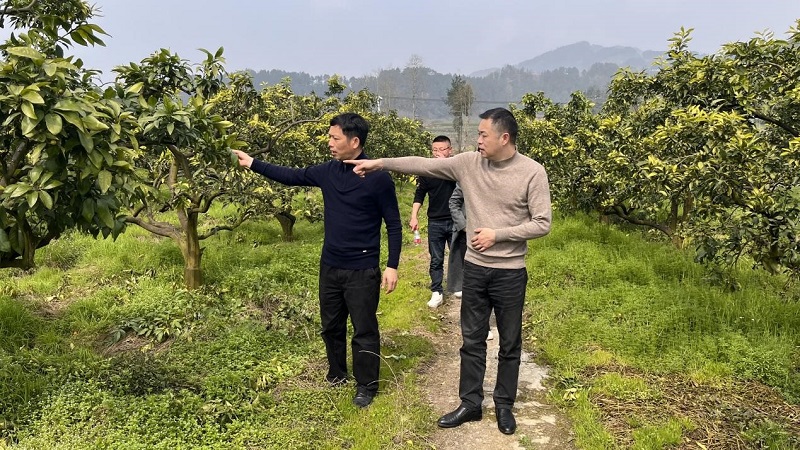 1678243980669488.jpg 12.jpg